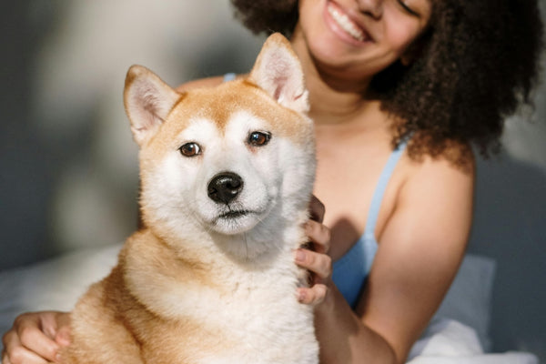 5 Astuces pour Calmer l'Anxiété de votre Chien : Conseils Pratiques pour des Moments Sereins