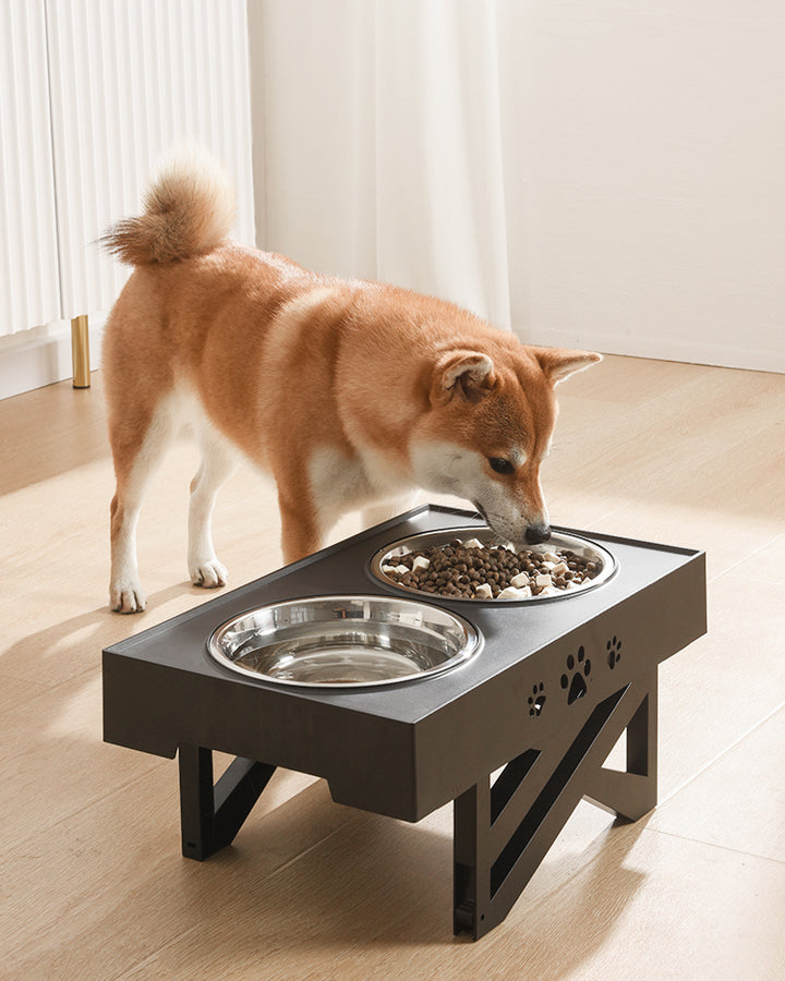 Buy height Adjustable bowl for your dog