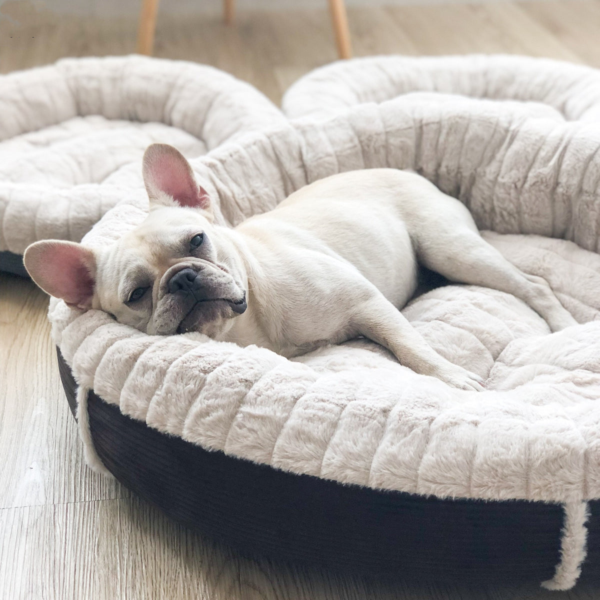 Coussin en peluche pour chien